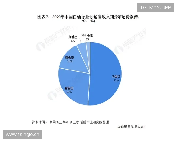 山东泰山豪门地位:当前竞争格局与稳定性面临考验