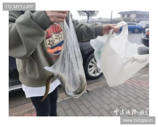 廖秋云身上全是名牌，手里却拎着塑料袋买菜，反差笑死我